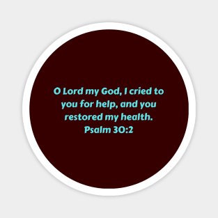 Bible Verse Psalm 30:2 Magnet